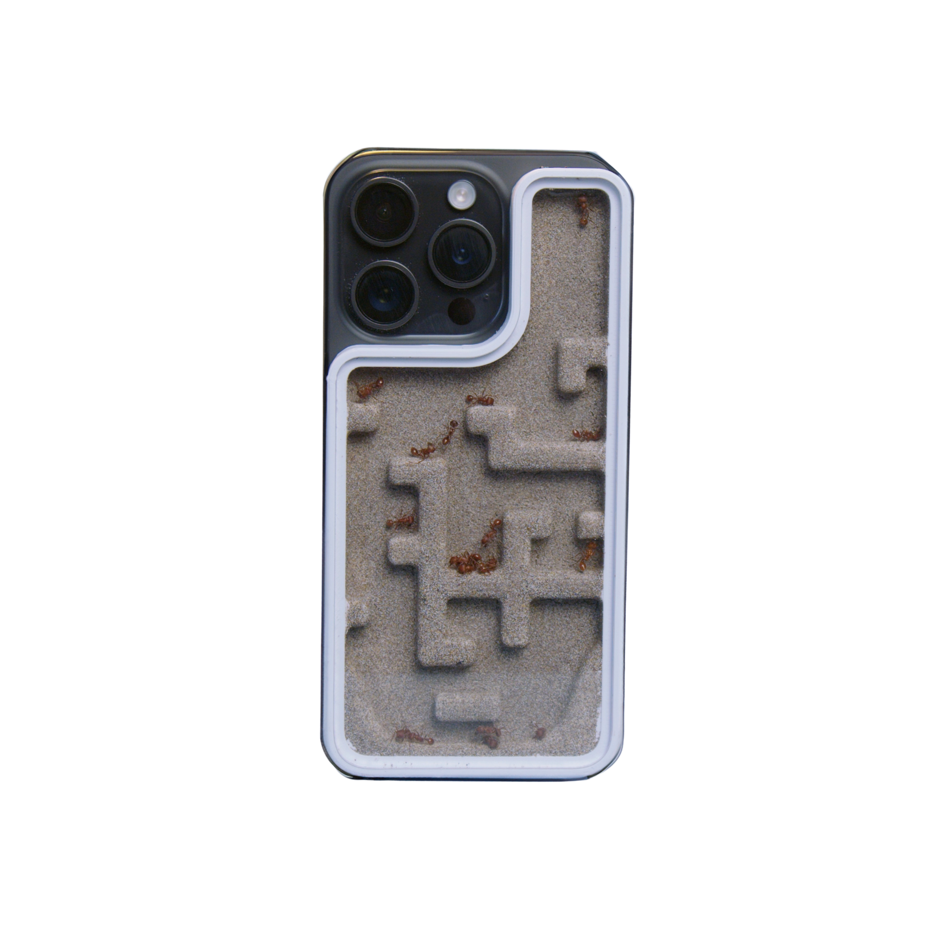 MagSafe Ant Farm MagSafe Ant Farm