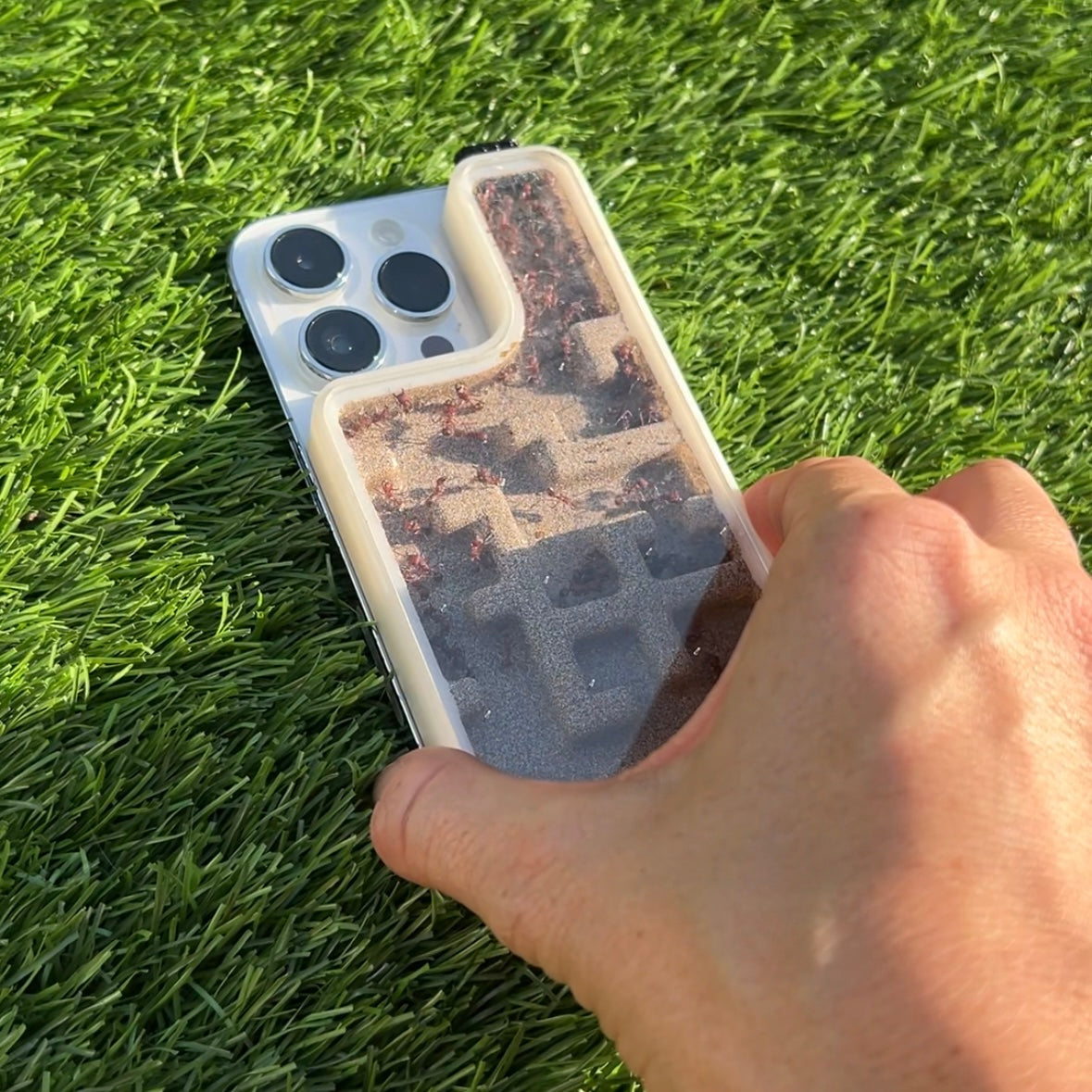 MagSafe Ant Farm MagSafe Ant Farm