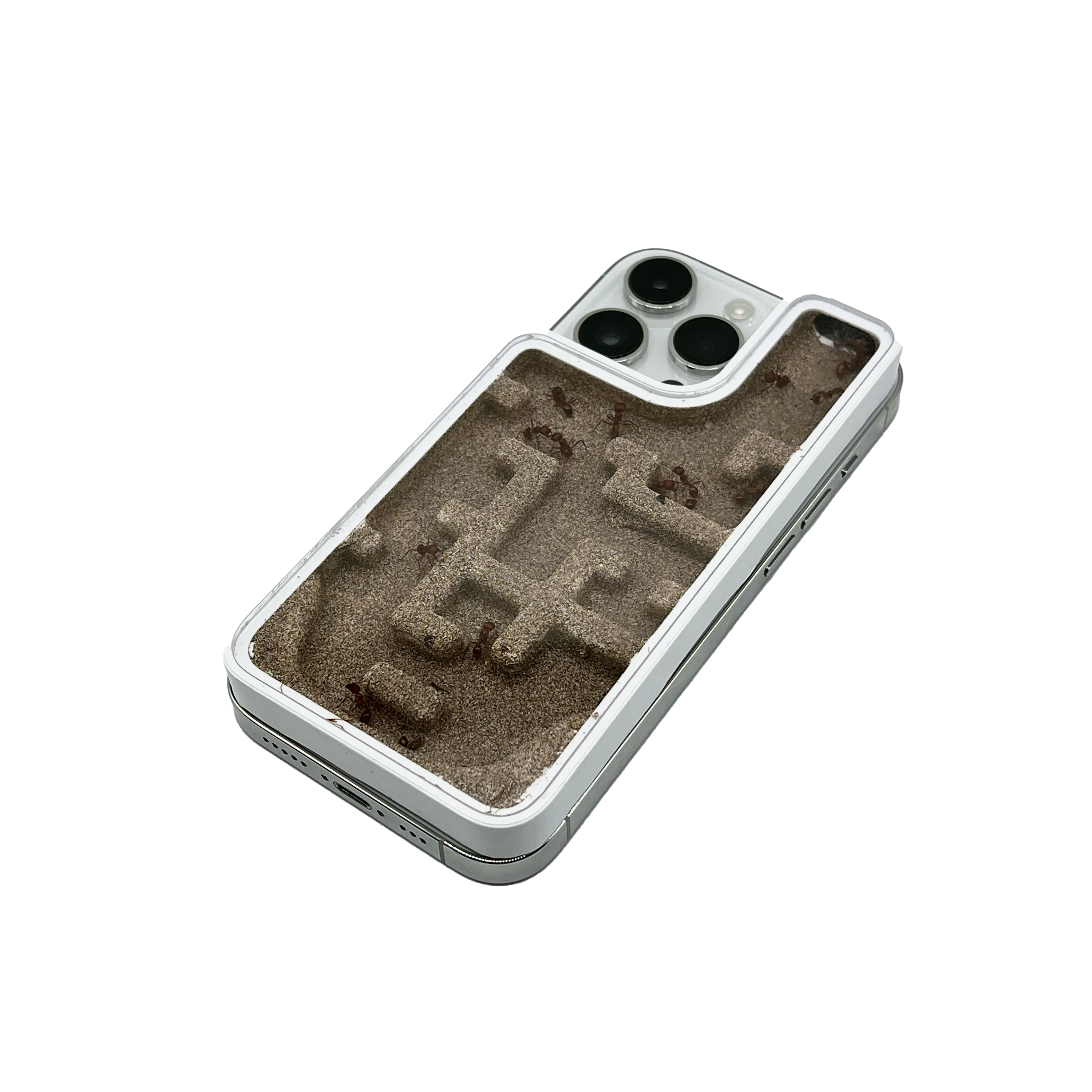 MagSafe Ant Farm MagSafe Ant Farm